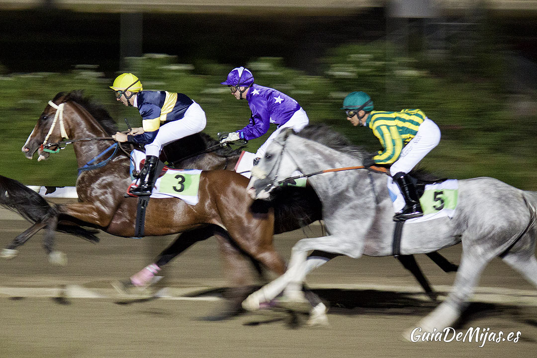 Carrera de Caballos en el Hipódromo Costa del Sol