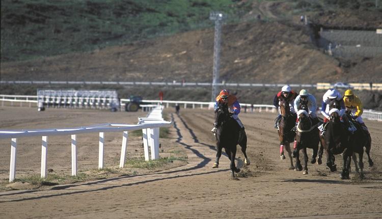 hipodromo-costa-del-sol-mijas