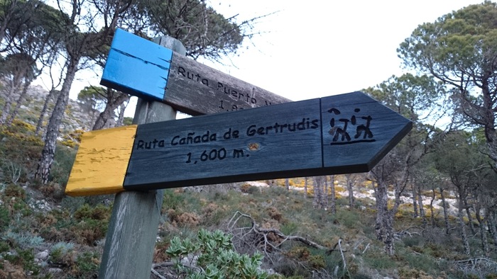 ruta-amarilla-sendero-canada-de-gertrudis